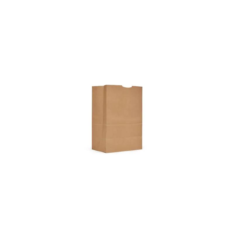 Bag 1/6 BBL Paper 70# Extra Heavy Brown Tear Resistant 400/Bale