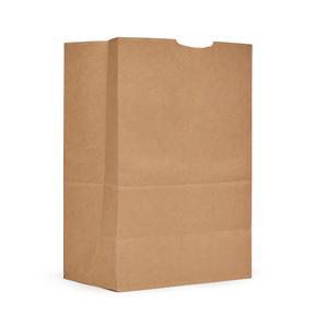 Bag 1/6 BBL Paper 70# Extra Heavy Brown Tear Resistant 400/Bale