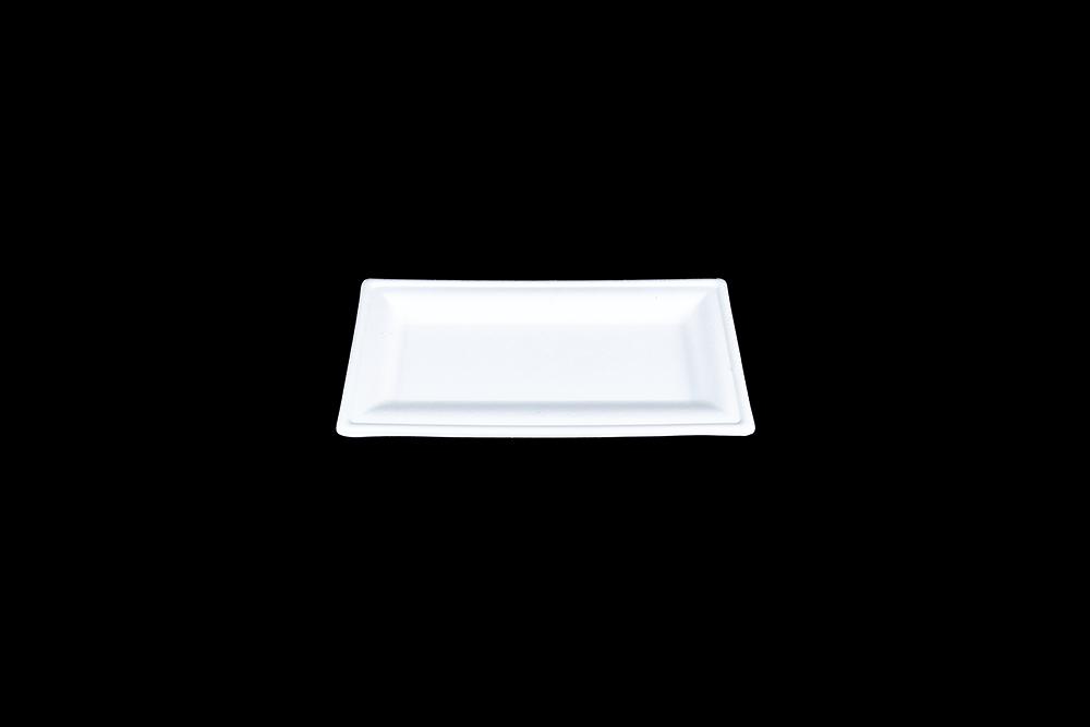 ChampWare Plate 10 IN Sugarcane Rectangle 500/Case