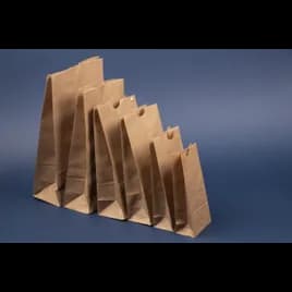 Bag 2.83X1.6X6 IN Recycled Paper Natural 500/Pack