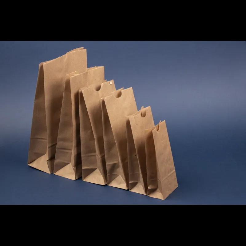 Bag 2.83X1.6X6 IN Recycled Paper Natural 500/Pack