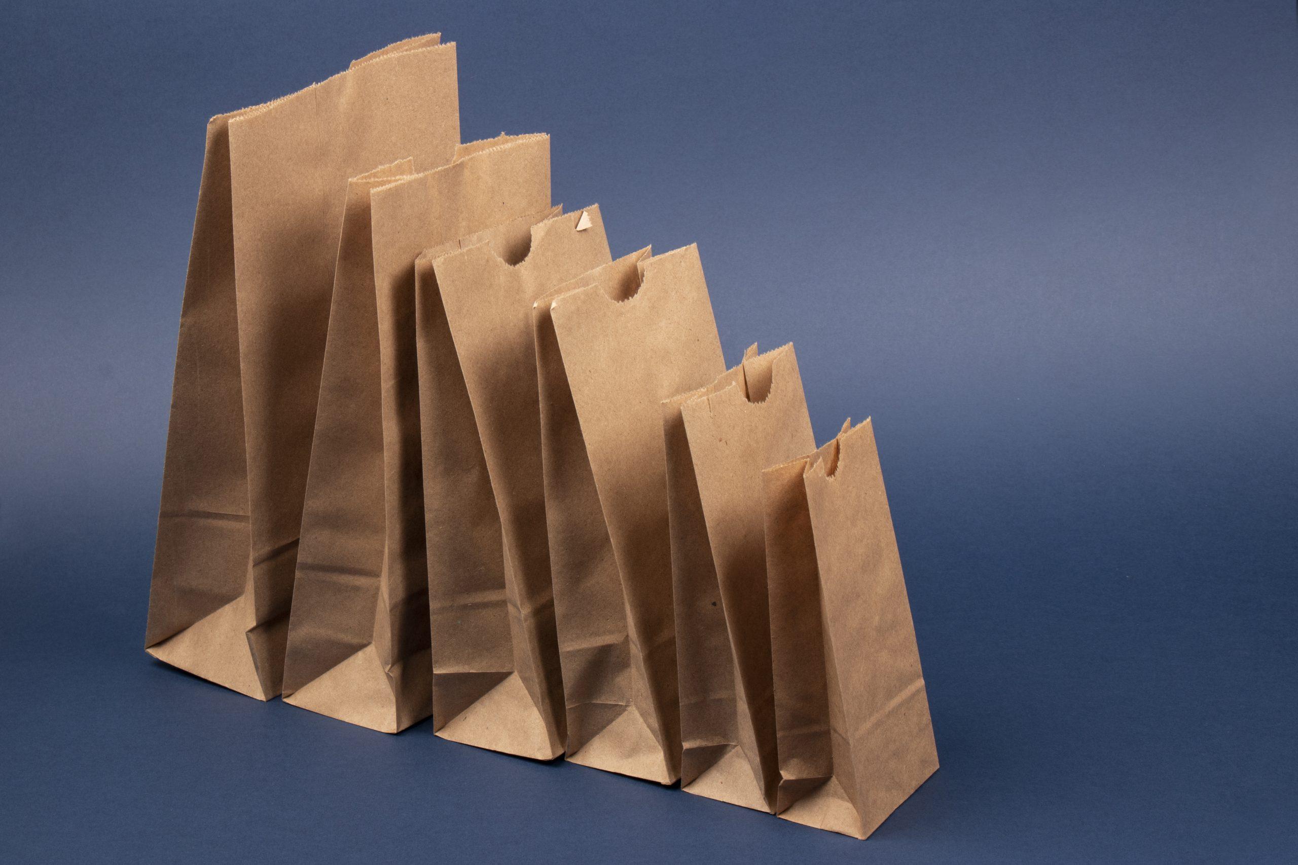 Bag 2.83X1.6X6 IN Recycled Paper Natural 500/Pack