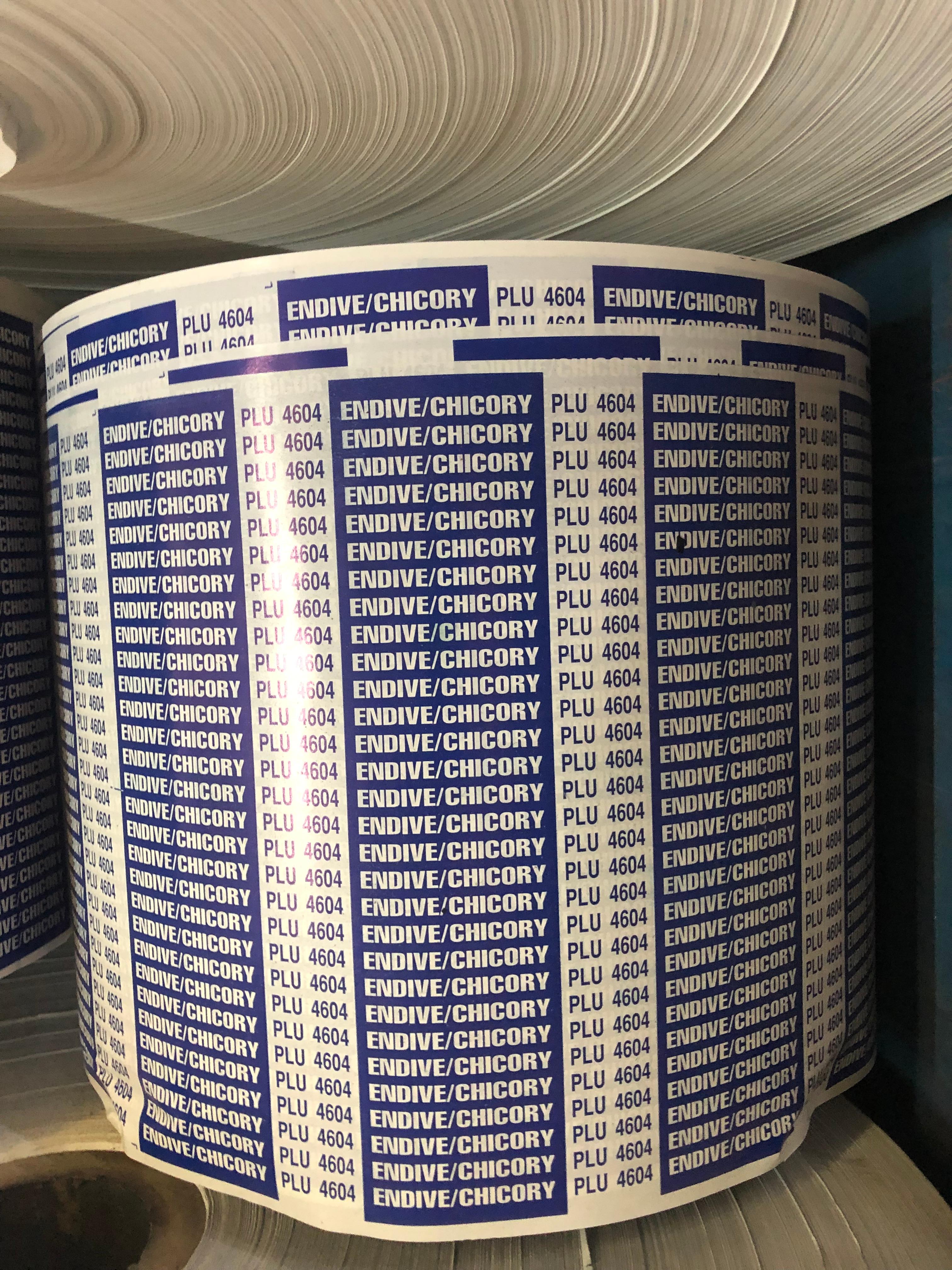 Endive Twist Tie 18 IN Paper Blue 300/Pack