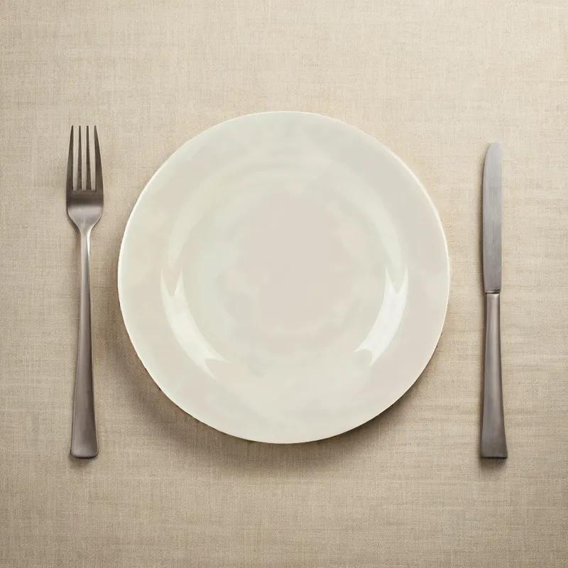 Plate 9X1.5 IN China Ivory Round Microwave Safe Oven Safe 24/Case