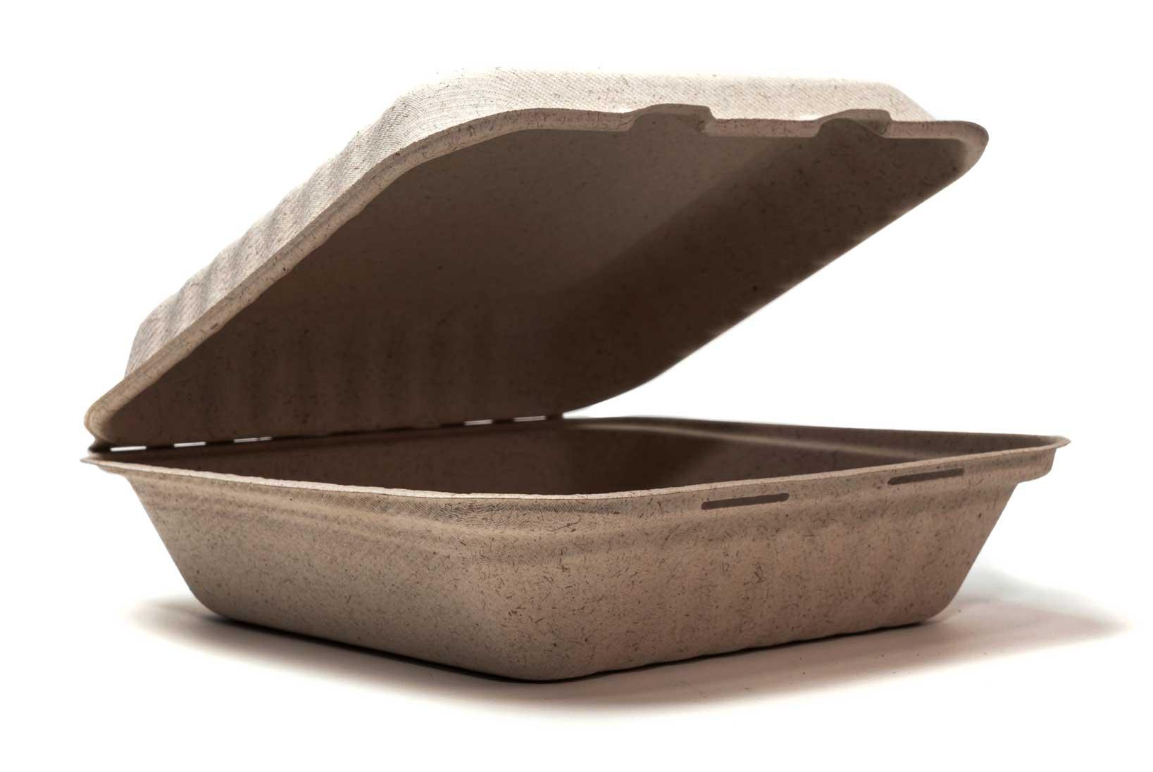 Ovation Take-Out Container Hinged With Dome Lid 9X9X3 IN Sugarcane Square 300/Case