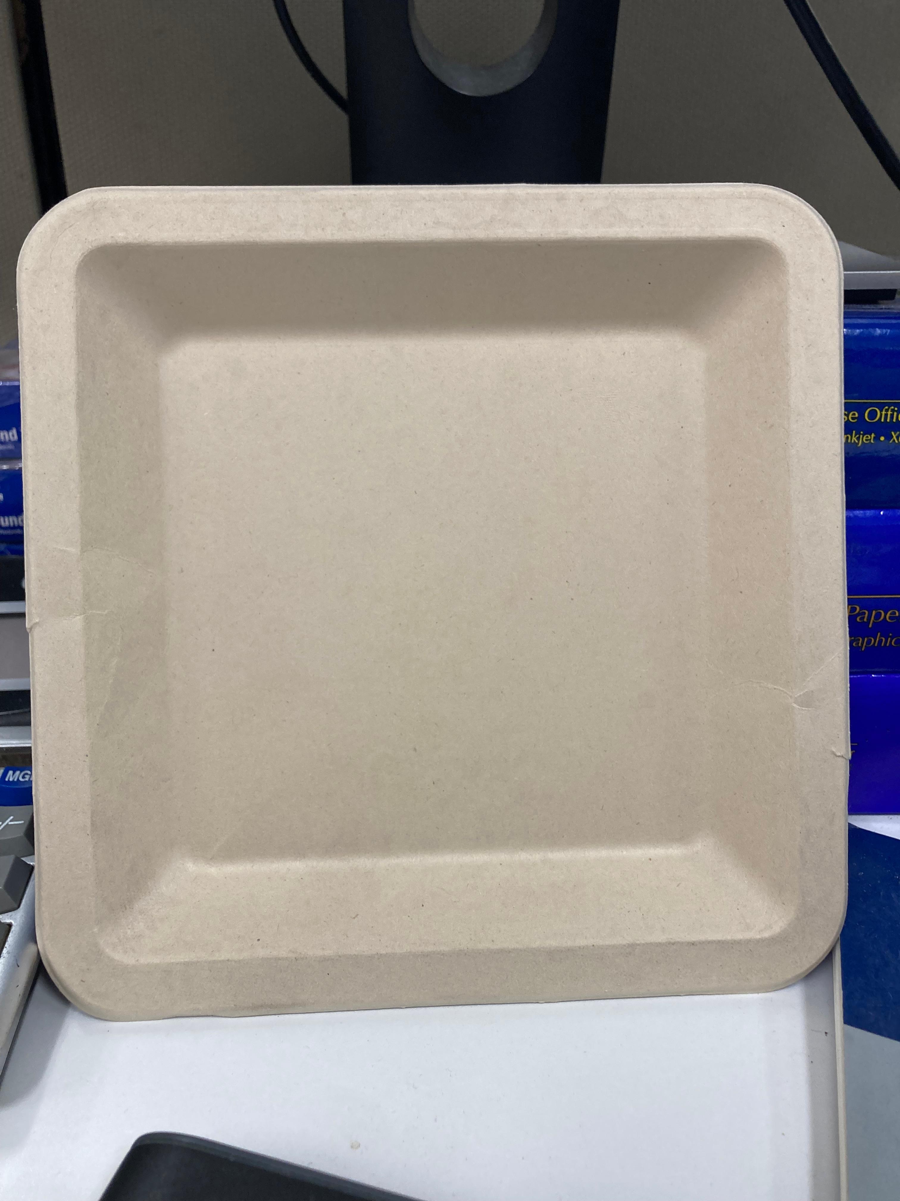 Plate 8X8 IN Sugarcane Kraft Square 500/Case