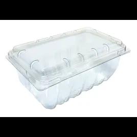 Berry Basket Hinged With Dome Lid 16 OZ PET Clear Rectangle 360/Case