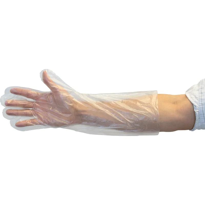 Gloves Large (LG) Clear PET Powder-Free 1000 Count/Pack 10 Packs/Case 10000 Count/Case