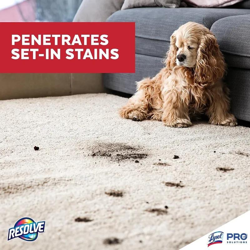 RESOLVE® Carpet Spot Cleaner Stain Remover 32 FLOZ 12/Case