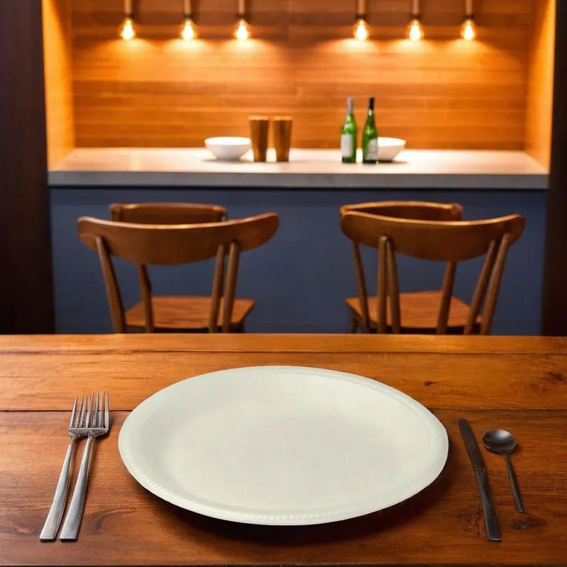 Plate 9 IN Polystyrene Foam White Round 500/Case