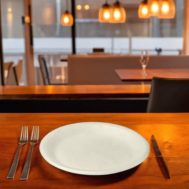 Plate 9 IN Polystyrene Foam White Round 500/Case