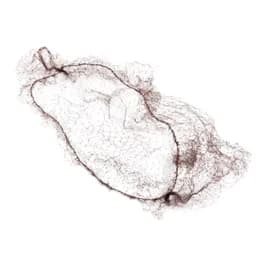 Hairnet 24 IN Brown Light Weight Nylon 144 Count/Pack 20 Packs/Case 2880 Count/Case