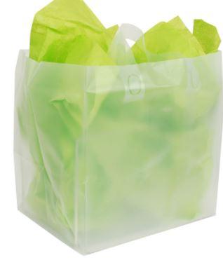 Shopper Bag 10X8X10 IN Frosted Cardboard Bottom With Handle 250/Case