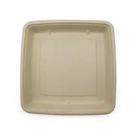 Take-Out Container Base 9X9X1 IN Pulp Fiber Kraft Square Shallow 300/Case