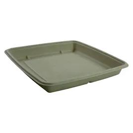 Take-Out Container Base 9X9X1 IN Pulp Fiber Kraft Square Shallow 300/Case