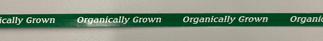 Organic Twist Tie 18X0.375 IN Paper Green White 250/Bundle