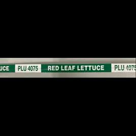 Red Leaf Lettuce Twist Tie 18X0.375 IN Paper Green White 300/Bundle
