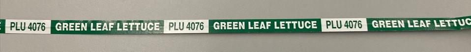 Green Leaf Lettuce Twist Tie 18X0.375 IN Paper Green White 300/Bundle