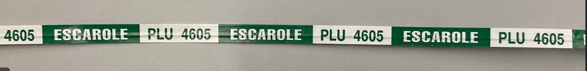 Escarole Twist Tie 18X0.375 IN Paper Green White 300/Bundle