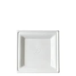 Plate 6X6X1 IN Sugarcane White Square 500/Case