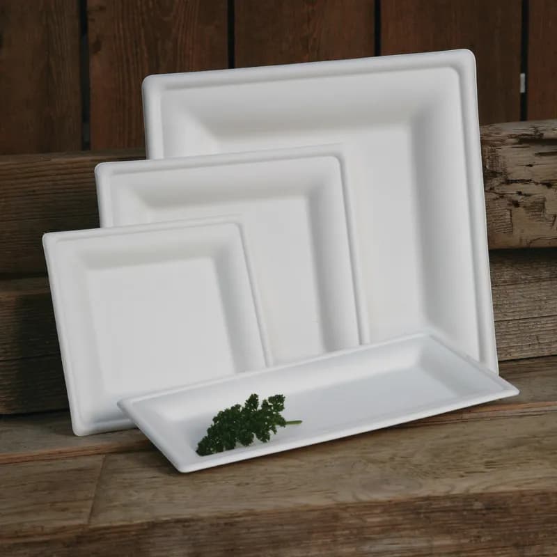 Plate 10X10 IN Sugarcane White Square 250/Case