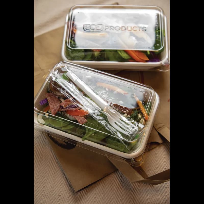 WorldView Take-Out Container Base 8X6X1 IN Sugarcane White Rectangle 400/Case