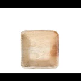 Plate 4X4 IN Palm Leaf Square 600/Case