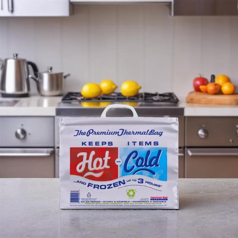 Bag 15X12X6 IN 30 LB PE Silver Thermal Insulated 50/Case