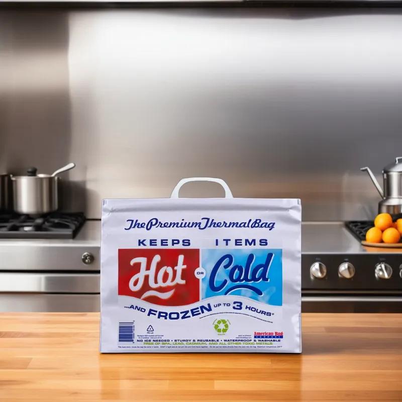 Bag 15X12X6 IN 30 LB PE Silver Thermal Insulated 50/Case