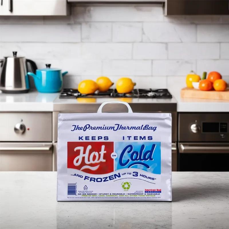 Bag 15X12X6 IN 30 LB PE Silver Thermal Insulated 50/Case