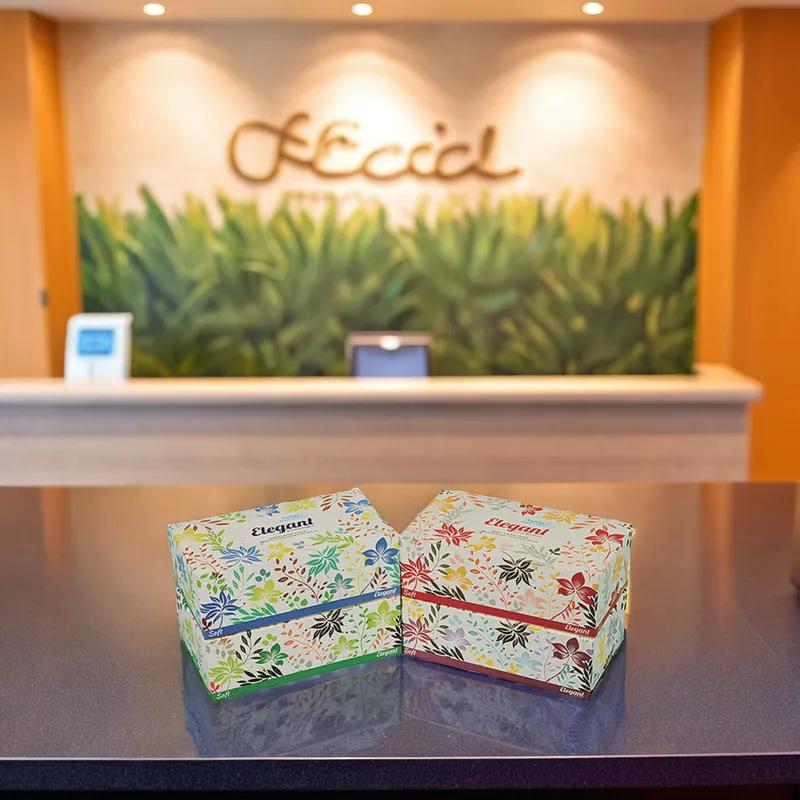 Facial Tissue 2PLY White Flat Box 160 Sheets/Pack 36 Packs/Case