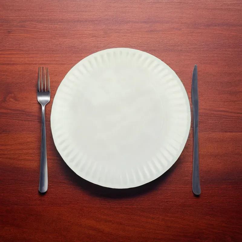 Plate 9 IN Uncoated Paper Round Light Weight 1200/Case