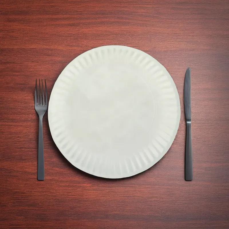 Plate 9 IN Uncoated Paper Round Light Weight 1200/Case