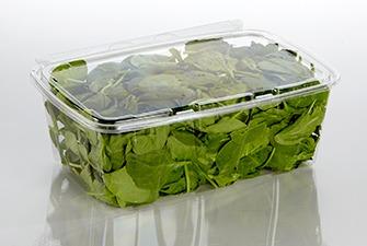 120 OZ 11.68X7.87X4.01 IN PET Clear Rectangle Tamper-Evident 116/Case