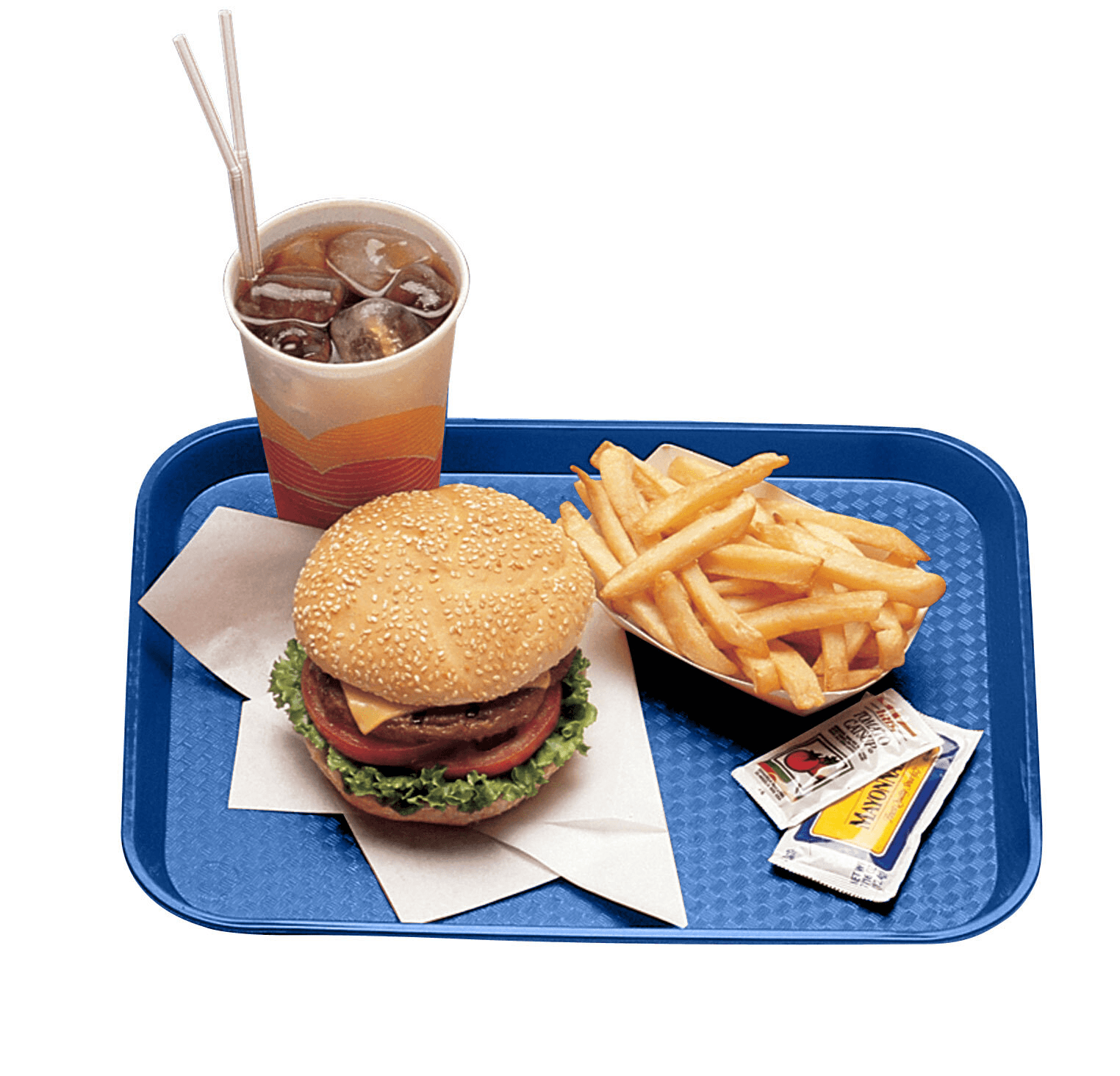 Fast Food Tray 10X14 IN Navy 24/Case
