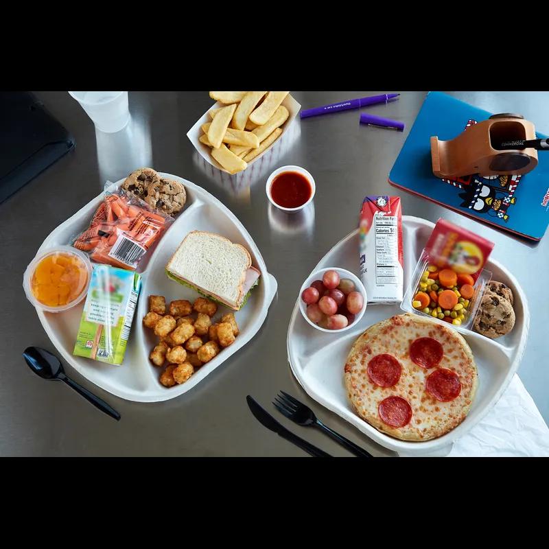 Cafeteria & School Lunch Tray 10.5X1 IN 3 Compartment Molded Fiber Natural Round 250/Case