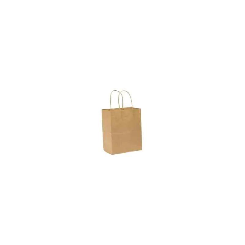 Shopper Bag 8X4.25X10.25 IN Kraft Paper 60# Kraft Tempo With Handle 250/Case