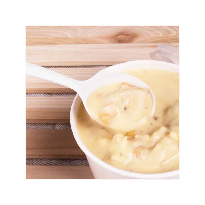 Karat® Soup Spoon PP White Medium Weight 1000/Case