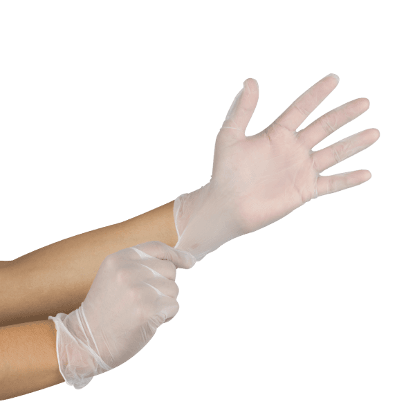 Gloves Small (SM) Clear Vinyl Powder-Free 1000/Case