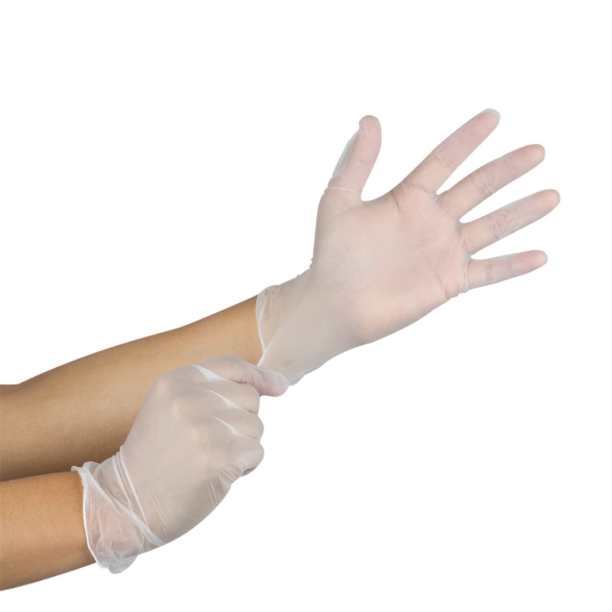 Gloves Small (SM) Clear Vinyl Powder-Free 1000/Case