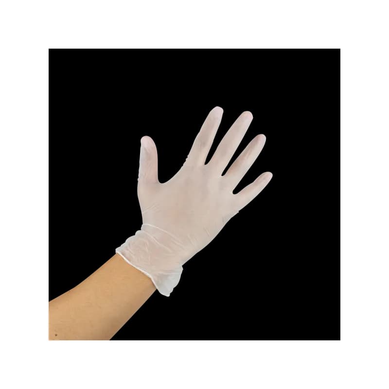 Gloves Small (SM) Clear Vinyl Powder-Free 1000/Case