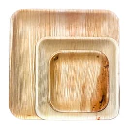 Plate 10X10 IN Palm Leaf Square 25 Count/Pack 4 Packs/Case 100 Count/Case