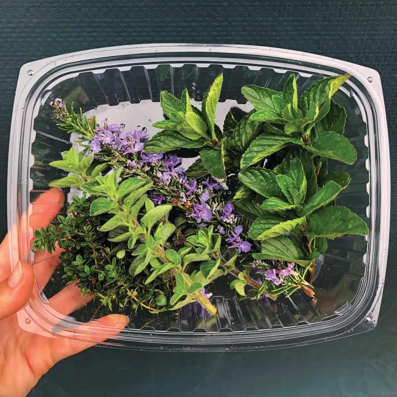 Deli Container Base & Lid Combo With Flat Lid 24 OZ PLA Clear Rectangle 200/Case