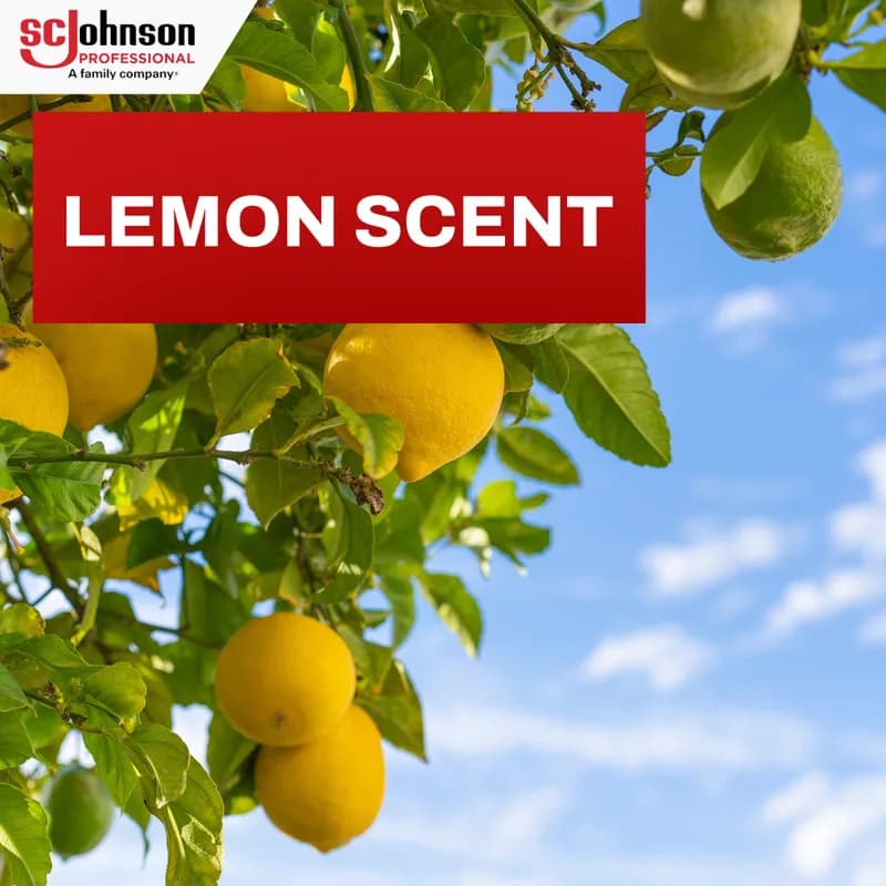 SC Johnson Professional® Pledge® Lemon Furniture Polish 14.2 OZ Multi Surface 1/Each