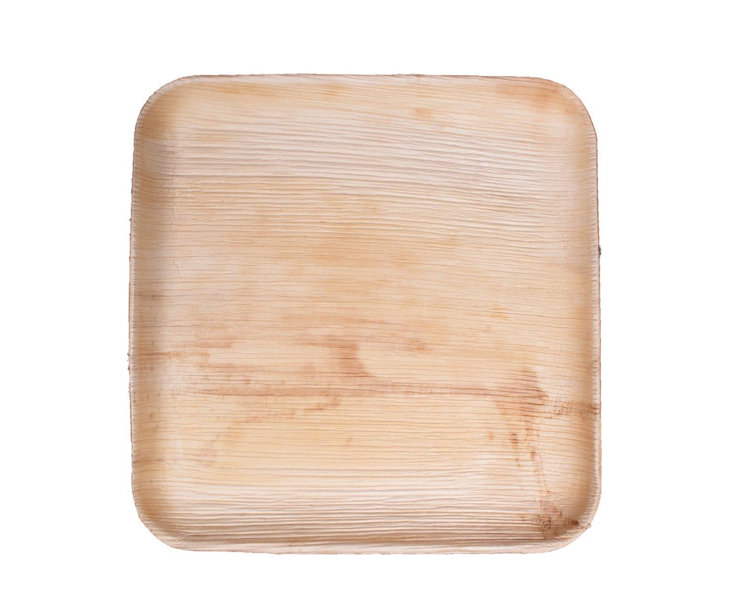 Plate XL 9X9 IN Palm Leaf Natural Square 300/Case