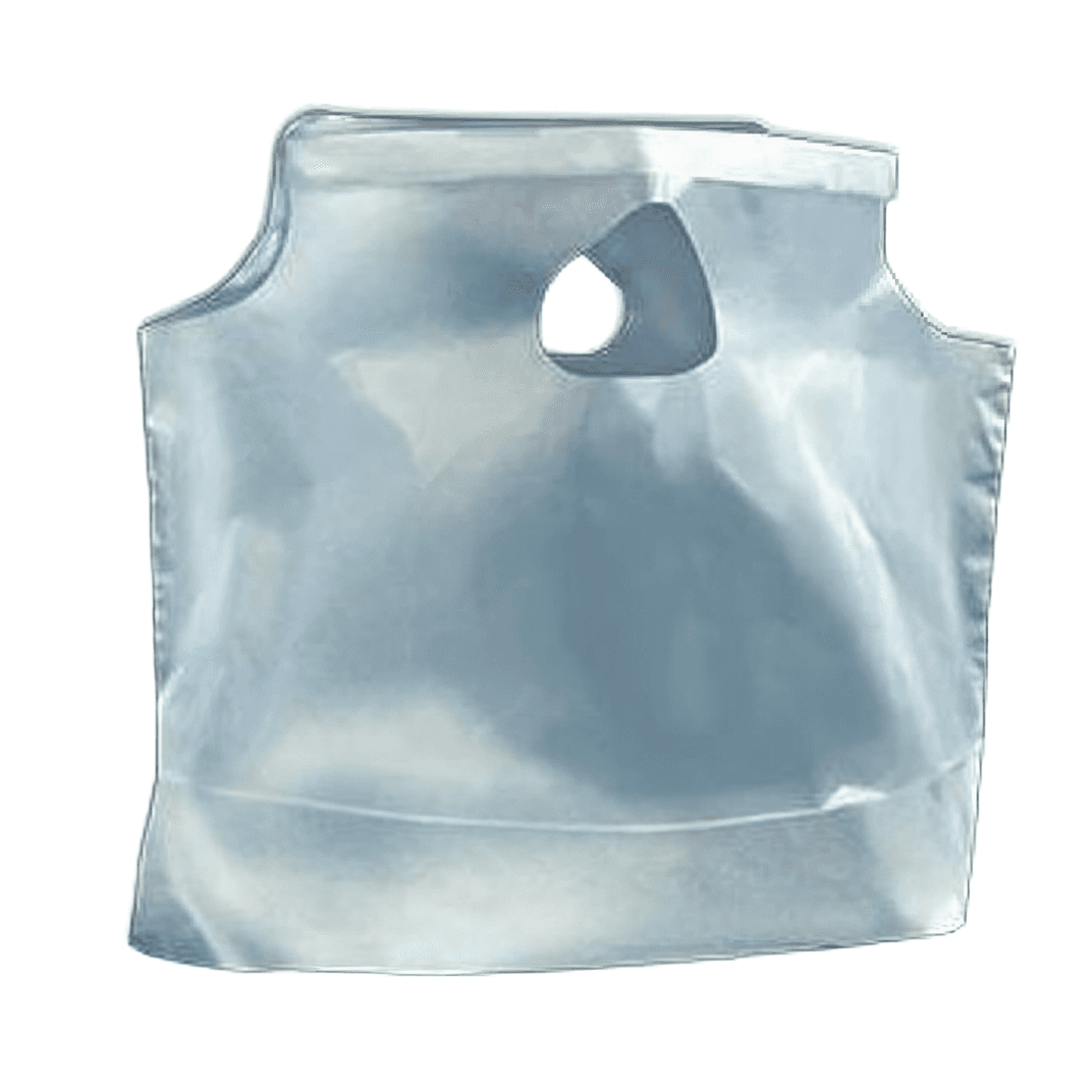 Bag 11X3.5X10 IN Heavy Duty Clear Frosted With Handle 500/Case