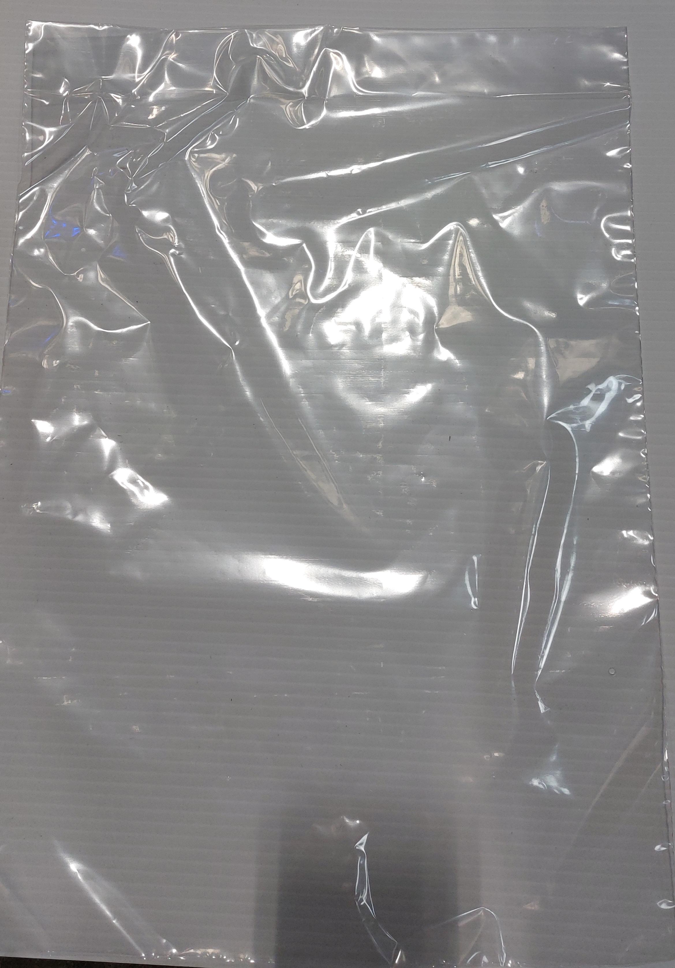 Bag 12X3X17 IN Plastic 2MIL 1000/Case