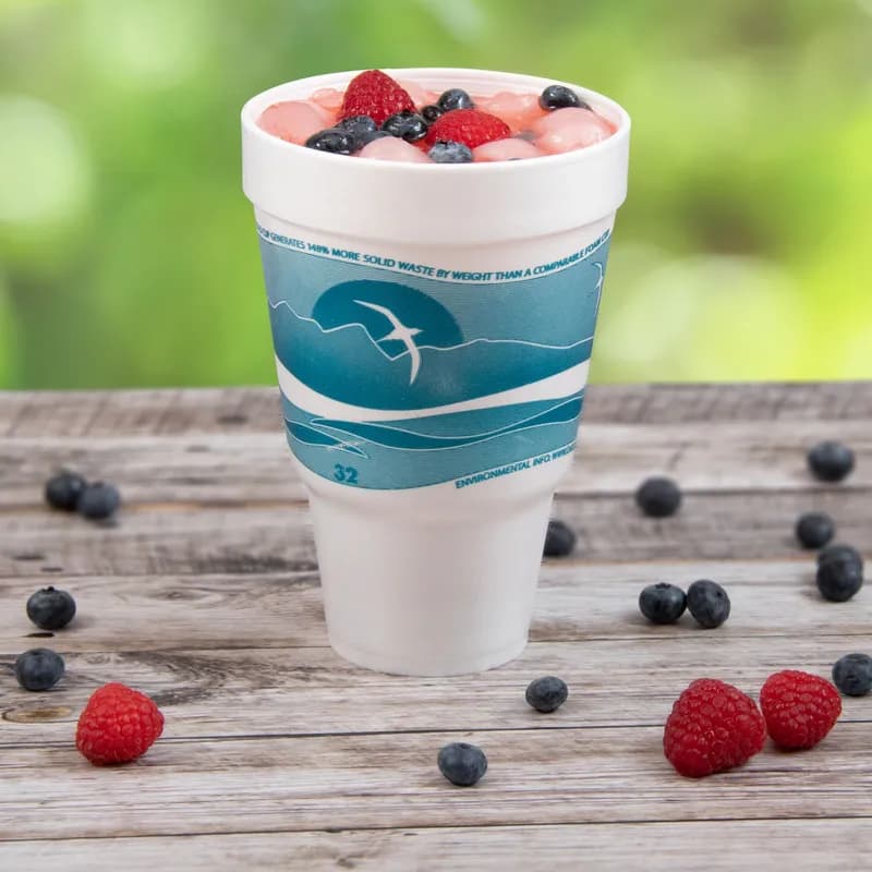 Dart® J Cup® Cup 32 OZ EPS Multicolor Horizon® 25 Count/Pack 20 Packs/Case 500 Count/Case