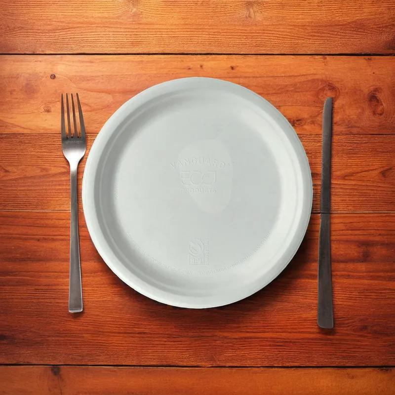 Plate 9 IN Sugarcane 500/Case