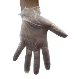 Food Service Gloves Medium (MED) Clear Vinyl Powder-Free 1000/Case